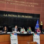 Ana Miranda participa na misión da Eurocámara a México